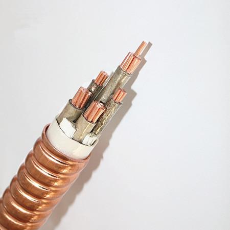 产品型号: yttw , yttwy 电缆长期工作温度:180℃ 产品特性: 金属护套